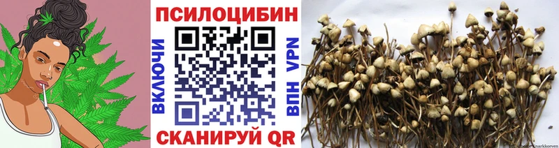 Галлюциногенные грибы Magic Shrooms  Еманжелинск 